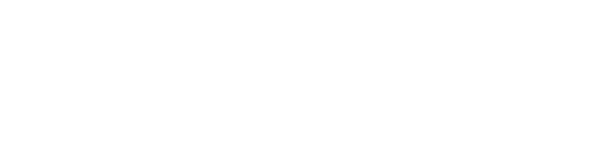 Mi Amante Professional